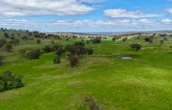 "Willunga" 700 Willunga Road, Cassilis, NSW 2329