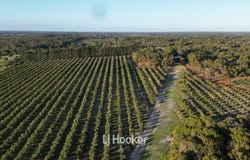 50 Treemartin Road, Carbunup River, WA 6280