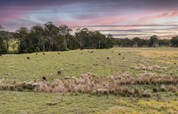 1 Barlows Gate Road, Lower Acacia Creek, NSW 2476