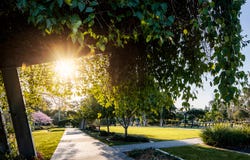 Lot 706 Daniel Drive, Rochedale, Qld 4123