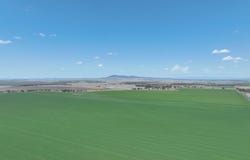Lignum Aggregation 1822 Howes Hill Road, Spring Ridge, NSW 2343