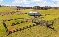 Millthorpe, NSW 2798