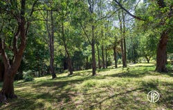 19 Andersons Road, Warburton, Vic 3799