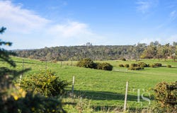 28 Celery Top Drive, St Leonards, Tas 7250