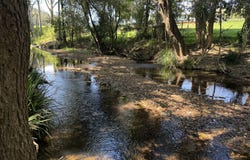 2569 Bulga Road, Bobin, NSW 2429