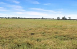 Amaroo Drive, Moree, NSW 2400