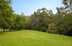 8 Protea Place, Bridgeman Downs, Qld 4035