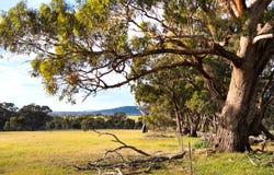Lot 1, 271 Goughs Range Road, Welshmans Reef, Vic 3462