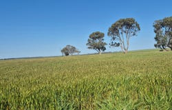 Ratio Downs, Degrussa Road, Gibson, WA 6448