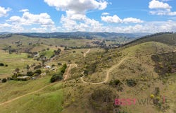 517 White Rocks Road, Lewis Ponds, NSW 2800