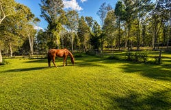 53 - 79 Greensward Road, Tamborine, Qld 4270