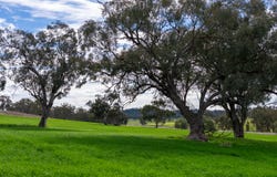 9091 Mitchell Highway, Wellington, NSW 2820