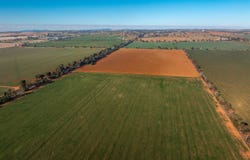3685 Olympic Highway, Junee, NSW 2663