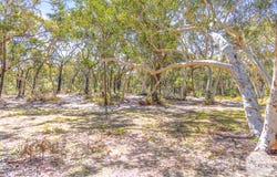 10 Salt Ash Avenue, Salt Ash, NSW 2318
