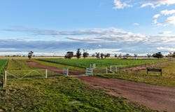 Westwood, 528 Forest Road, Forbes, NSW 2871