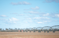 3615 Ballangarry Road, Thallon, Qld 4497