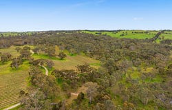 Lot 704 Wynns Road, Flaxman Valley, SA 5235