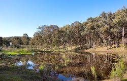 CA 3&4 White Gum Track, Fryerstown, Vic 3451
