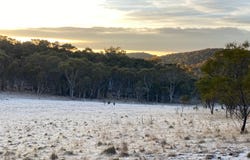 1560 Numeralla Road, Numeralla, NSW 2630