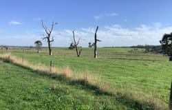 . Winnap-Nelson Road, Drik Drik, Vic 3304