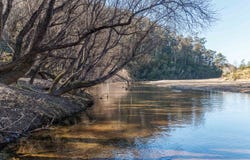 265 The Snake Track, Kiah, NSW 2551