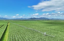 214 Kennys Road, Marian, Qld 4753