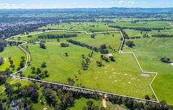 185 Jingellic Road, Holbrook, NSW 2644