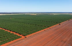 Square Well Lane, Hillston, NSW 2675