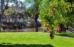 379 Old Cadell Road, Morgan, SA 5320