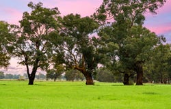 453 Old Narrandera Road, Gobbagombalin, NSW 2650