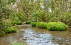 2985 Midland Highway, Lima South, Vic 3673