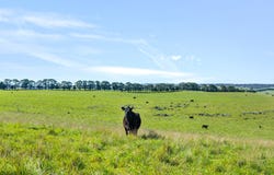 1994 Range Road, Goulburn, NSW 2580