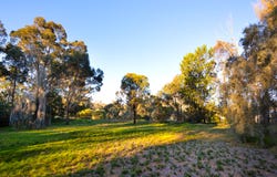 CA 5, Part Maldon-Newstead Road, Welshmans Reef, Vic 3462