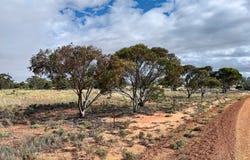 McGregor Road, Mukinbudin, WA 6479