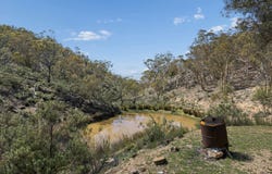8 Lyrebird Lane, Wambrook, NSW 2630