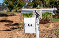 823 Woomargama Way, Woomargama, NSW 2644