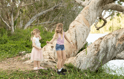 Lot 182 Dakota WIP I Plumbago Place, Rasmussen, Qld 4815