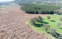 34 Ikes Mountain Road, Mannus, NSW 2653