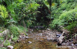 48 Fig Tree Road, Cow Bay, Qld 4873
