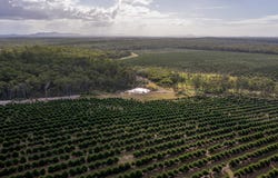 577 Boaga Road, Mullett Creek, Qld 4670