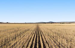 Lot 7 Cronin Road, Mount Tyson, Qld 4356