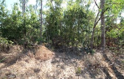 8 Pak Place, Wagait Beach, NT 0822