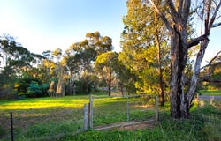 CA 5, Part Maldon-Newstead Road, Welshmans Reef, Vic 3462
