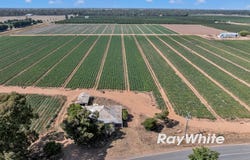 _ 740 Channel Road & 165 Hanlon Road, Shepparton East, Vic 3631