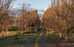 192 Cormiston Road, Riverside, Tas 7250