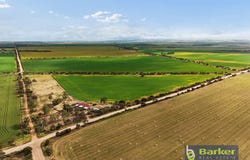 554 Fidge Road, Hamley Bridge, SA 5401