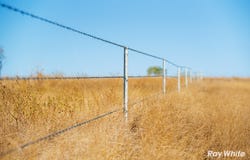 242 Rubys Road, Gogango, Qld 4702