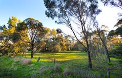 CA 5, Part Maldon-Newstead Road, Welshmans Reef, Vic 3462