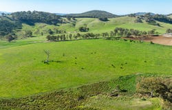 126 Lewis Road, Tatong, Vic 3673