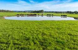 1, Simpsons Lane, Moyhu, Vic 3732
